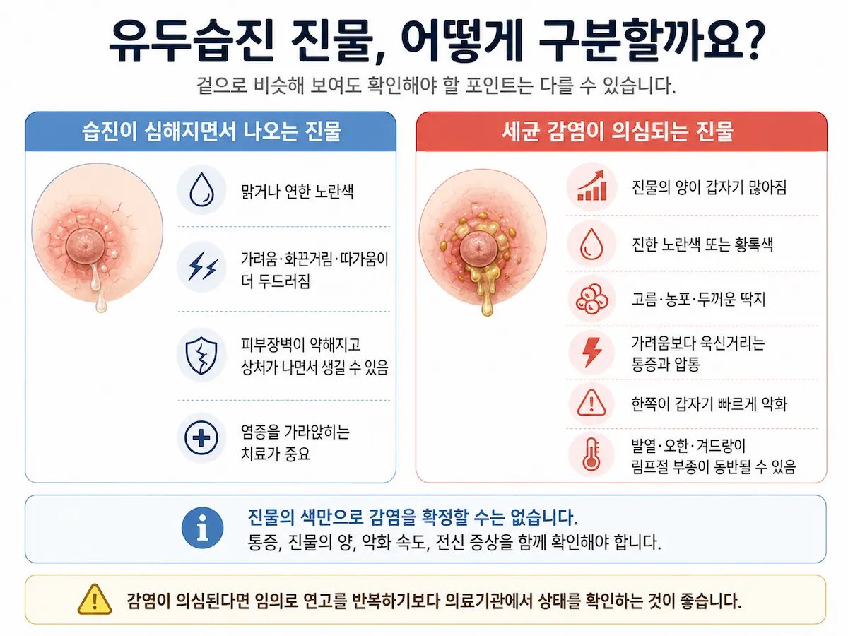 유두습진의 맑은 진물과 세균 감염이 의심되는 진물의 차이