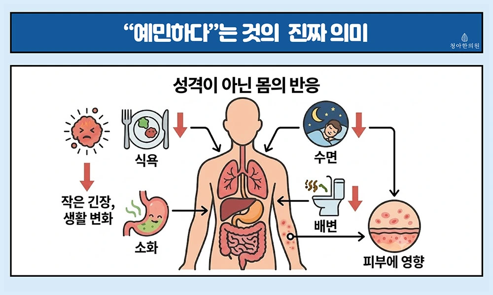 긴장과 생활 변화가 식욕 수면 소화 배변과 피부에 영향을 주는 과정을 설명한 그림